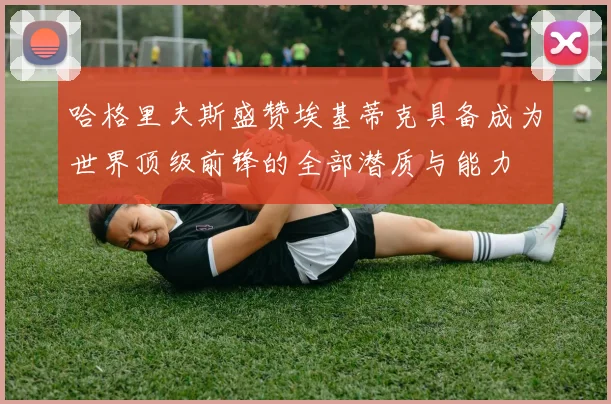 哈格里夫斯盛赞埃基蒂克具备成为世界顶级前锋的全部潜质与能力