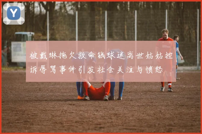 被戴琳拖欠救命钱球迷离世姑姑控诉辱骂事件引发社会关注与愤怒
